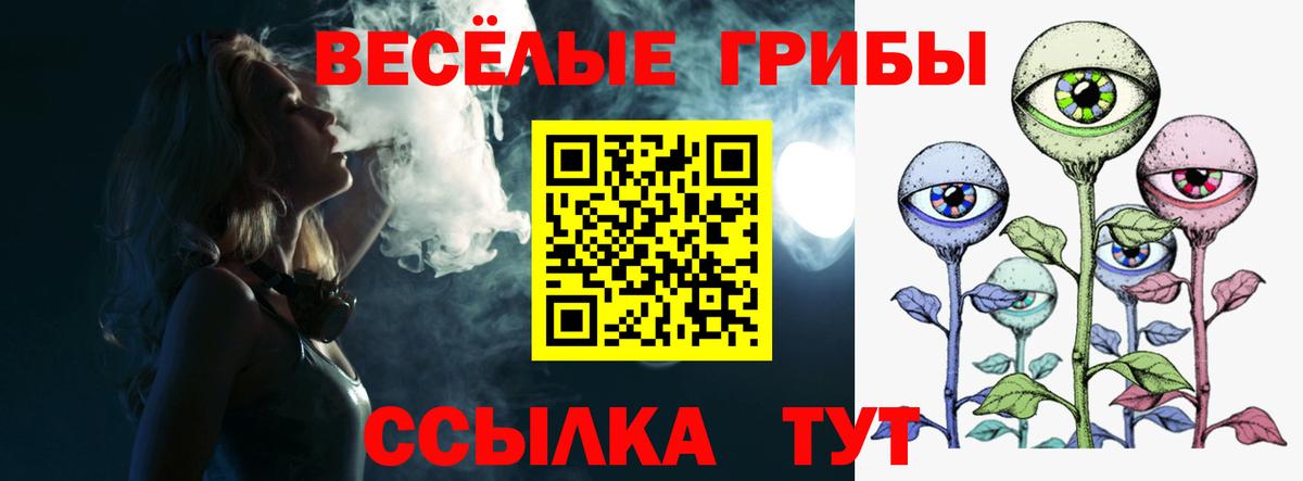 Псилоцибиновые грибы мицелий Норильск